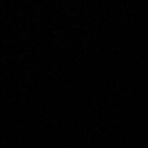 Meet your Posher, Kylee